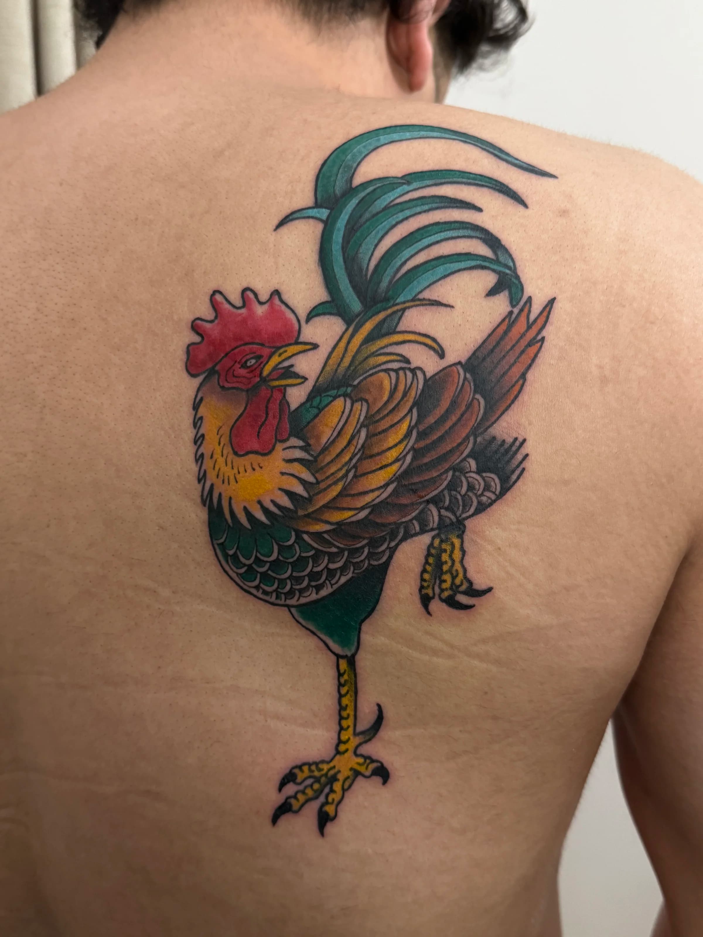 Traditional rooster back tattoo, bold color